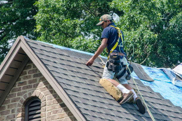 Best Emergency Roof Repair  in Bluefield, VA